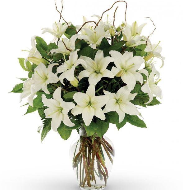 Blooming White