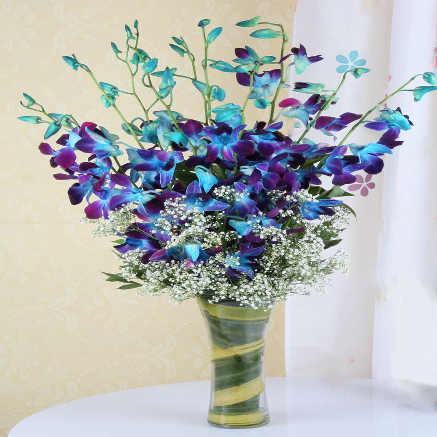 Blue Orchids
