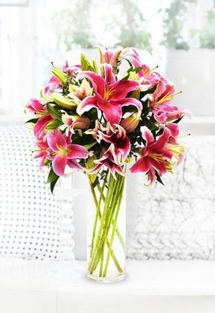Stargazer Lilies