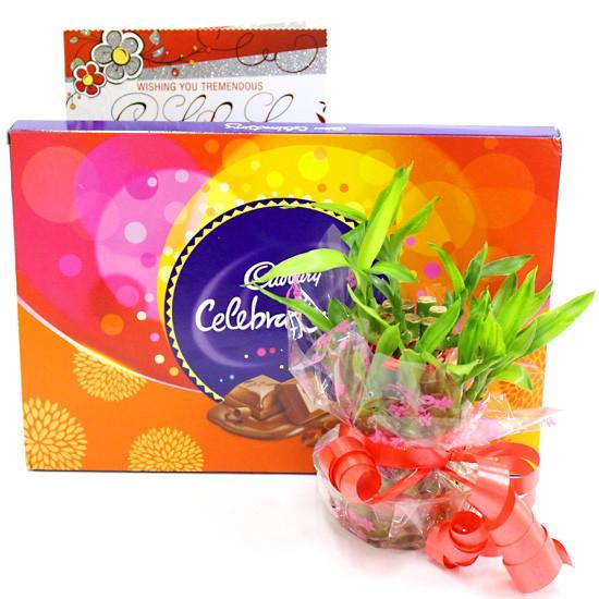 Celebrations And Luck