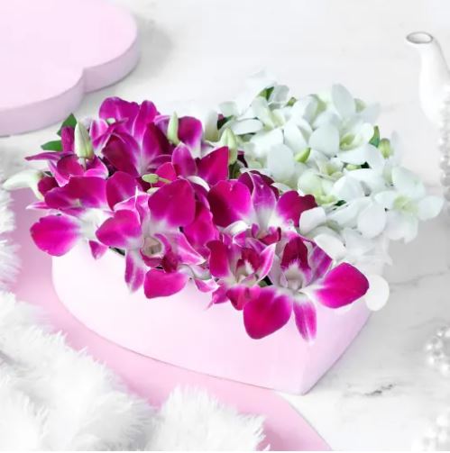 Orchids Mania In Heart - for Midnight Flower Delivery in India 