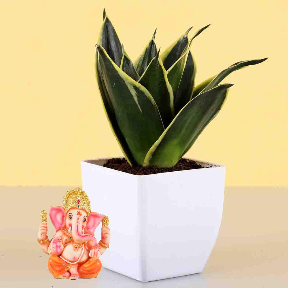 Delightful Ganesha Chaturthi Gift