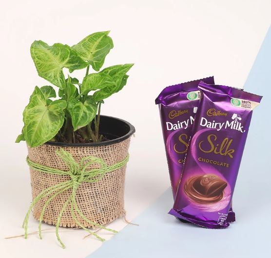 Small  Pot With Chocholate Love