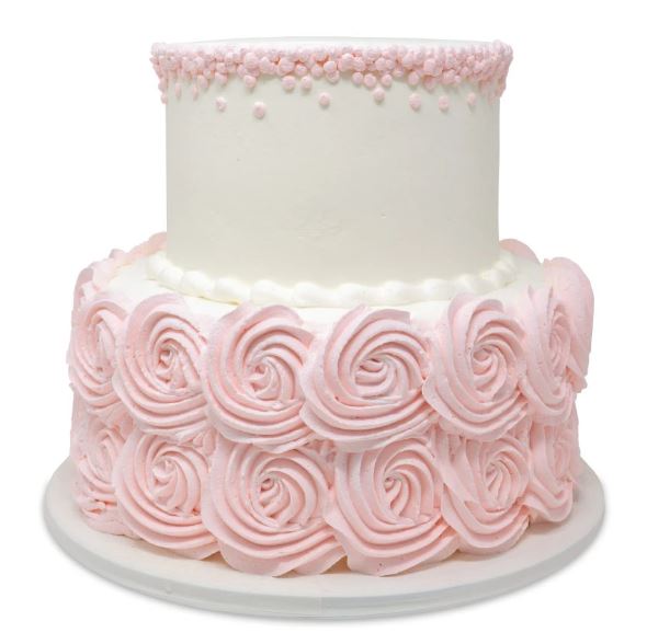 Elegant Style In 2 Tier Theme Cake