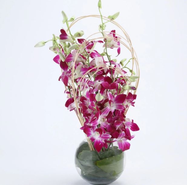 Sweet Floral