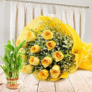 Friendly Felicitations