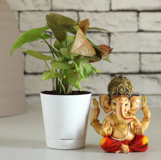 Enchanting Ganesh Uthsav Gift