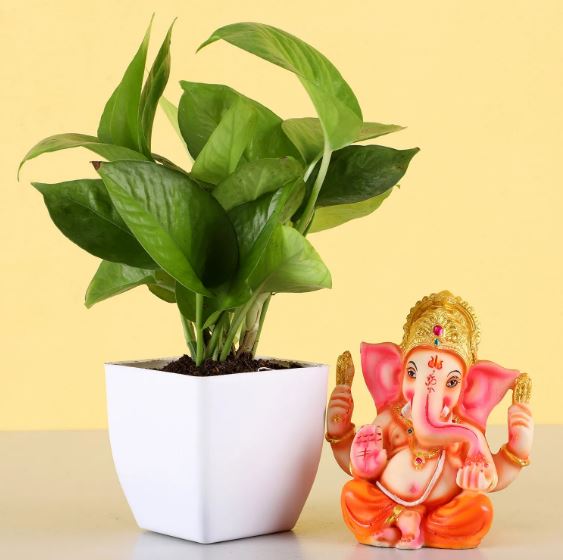 Eco Friendly Gift For Ganesh Chaturthi