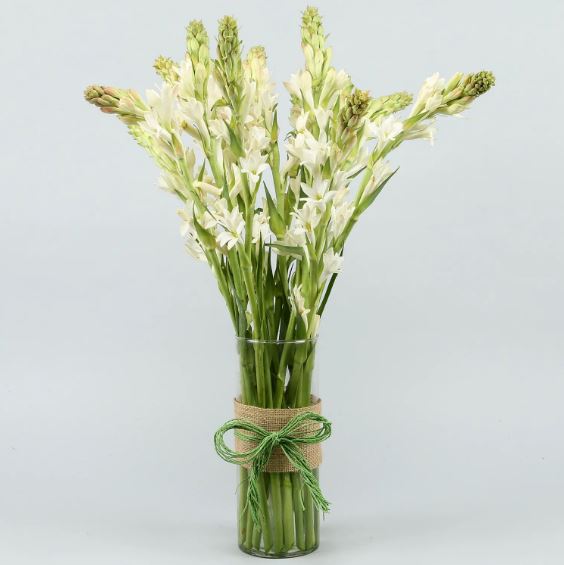 White Flowers