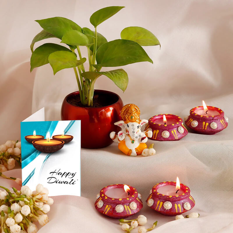Delight Diwali Combo - Send Flowers to India 