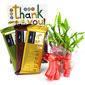 Good luck and temptations chocolates hamper