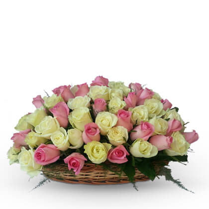 Rose For Everyone