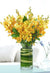 Yellow Orchids- Send Flowers to Category | Flowers | Yellow Flowers - Beautiful arrangement consists of 10 yellow mokara orchids for your loved ones.   While we always strive to ensure that products are accurately represented in our photographs, from season to season and subject to availability, our florists may be required to substitute one or more flowers for a variety of equal or greater quality, appearance and value. 