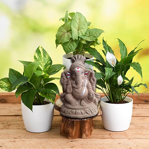Eco Friendly Ganesh Chaturthi Gift - from Best Flower Delivery in India 
