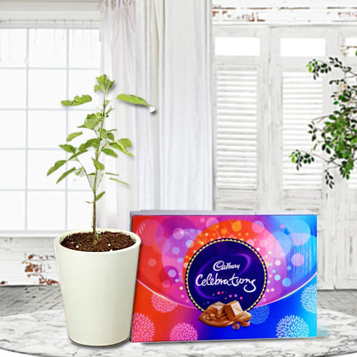Wow Janmashtami Gift