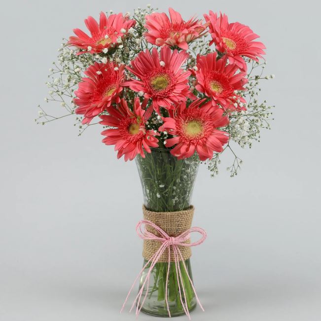 Dark Pink Gerberas
