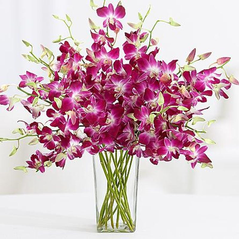 Purple Orchids - from Best Flower Delivery in India 