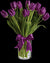 Purple Tulips In Glass Vase- Midnight Flower Delivery in Category | Flowers | Imported Flowers -This beautiful arrangement consists of: 10 purple tulips Crystal clear glass vase Note: This product is available for delivery in Bangalore city only. 