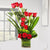 Reason Of Love - 12 Red Roses With Vase- - Send Flowers to India -Product Details: 12 Red Roses Square Vase Seasonal Fillers A gift which lasts for ages and makes your present memorable and long-lasting a combo of roses and a vase, roses are arranged to spread the love in the air and the square vase makes it a showpiece and a memory for a lifetime   While we always strive to ensure that products are accurately represented in our photographs, from season to season and subject to availability, our florists may be required to substitute one or more flowers for a variety of equal or greater quality, appearance and value. 