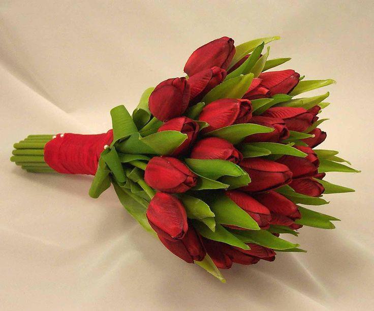 Red Beauty Tulips