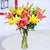 The Rest Of Your Life- Flower Delivery in Category | Flowers | Flowers For Brother -This Father's Day Special Flowers Contains: 5 Stem Pink Oriental Lilies and 5 Yellow Asiatic Lilies Seasonal fillers (green or white) Nicely arranged in a vase While we always strive to ensure that products are accurately represented in our photographs, from season to season and subject to availability, our florists may be required to substitute one or more flowers for a variety of equal or greater quality, appearance and value. 