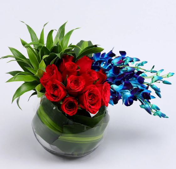Bloom Where You Are - from Best Flower Delivery in India 