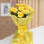 Shine Of Sunshine - 8 Yellow Roses- Midnight Flower Delivery in Category | Flowers | Yellow Flowers -Product Details: 8 Yellow Roses Yellow Paper Packing Yellow Ribbon Bow Seasonal Fillers  A beautiful octet of yellow roses enclosed in a paper are a quick gift when meeting someone. the present is ideal for every situation as the yellow roses add to the aesthetic beauty of love with a romantic odor. The gift is suitable for almost all the occasions. While we always strive to ensure that products are accurately represented in our photographs, from season to season and subject to availability, our florists may be required to substitute one or more flowers for a variety of equal or greater quality, appearance and value. 