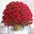 Adore You- Gift Delivery in Category | Gifts | Anniversary Gifts For Husband -This Special flower bouquet contains : 143 Red Roses Seasonal fillers (green or white) Nicely arranged in basket While we always strive to ensure that products are accurately represented in our photographs, from season to season and subject to availability, our florists may be required to substitute one or more flowers for a variety of equal or greater quality, appearance and value. 