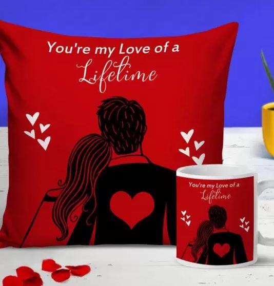 My Love Of Lifetime