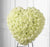 White Rose Heart- - for Online Flower Delivery In India -This beautiful flower Arrangement contains: 70 White Roses  Seasonal fillers While we always strive to ensure that products are accurately represented in our photographs, from season to season and subject to availability, our florists may be required to substitute one or more flowers for a variety of equal or greater quality, appearance and value. 